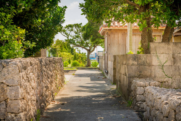 琉球の古民家の住宅路地の眺め