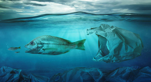 istock Fish swims among plastic bag ocean pollution. Environment concept 1156139412