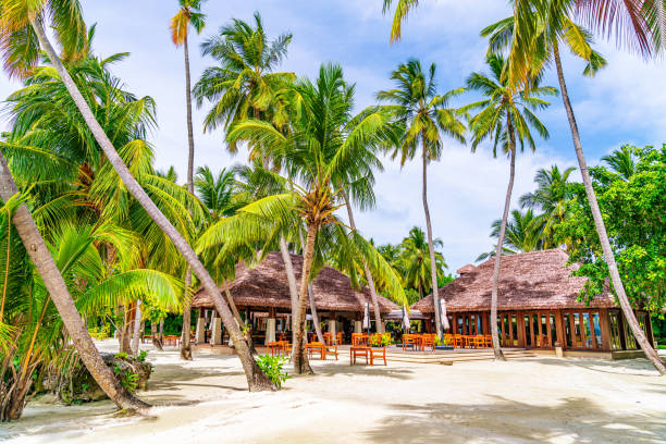 istock Resort with Beautiful Bungalow and Palms in Island 1156140130