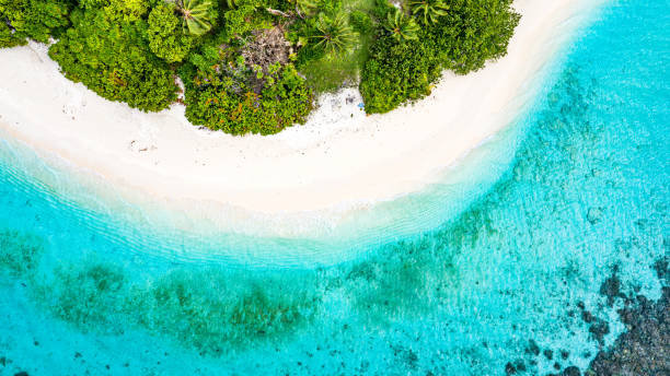 istock Tropical Island Coastline in the Ocean 1156142366