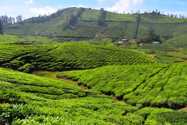 istock Meghamalai High Wavy Mountains - The Hidden Paradise 1156142449
