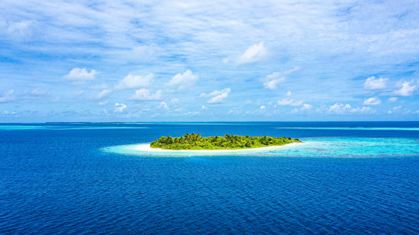 istock Tropical Island in the Ocean 1156142531