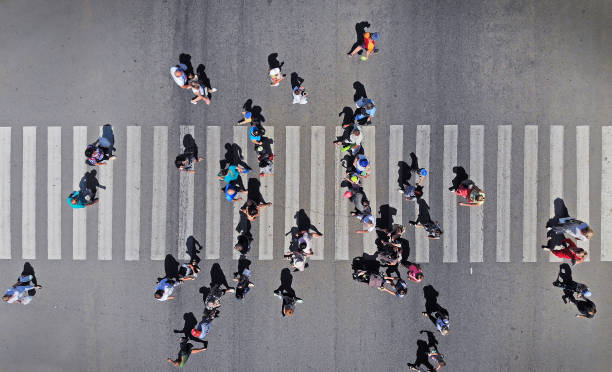 aerial. people crowd on pedestrian crosswalk. top view. - high angle view people people in a row directly above imagens e fotografias de stock