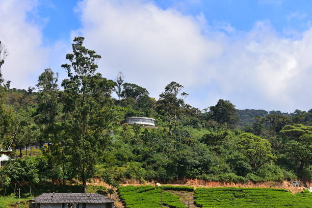 istock Meghamalai High Wavy Mountains - The Hidden Paradise 1156142655