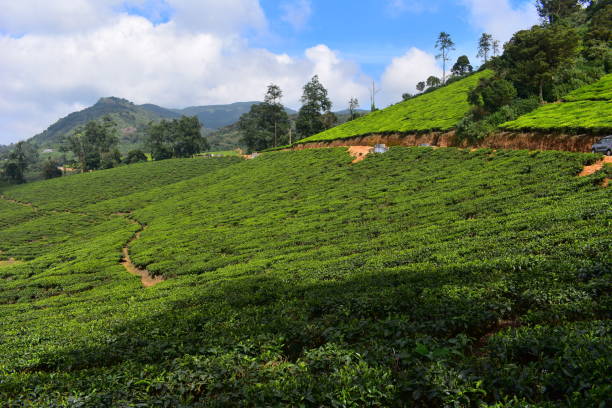 istock Meghamalai High Wavy Mountains - The Hidden Paradise 1156143439