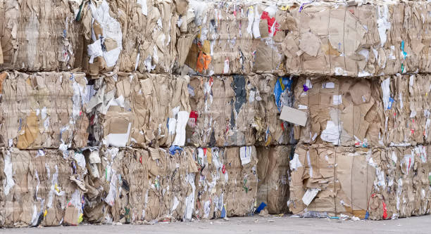 istock Paper pulp compressed blocks at recycle plant centre in China 1156144880