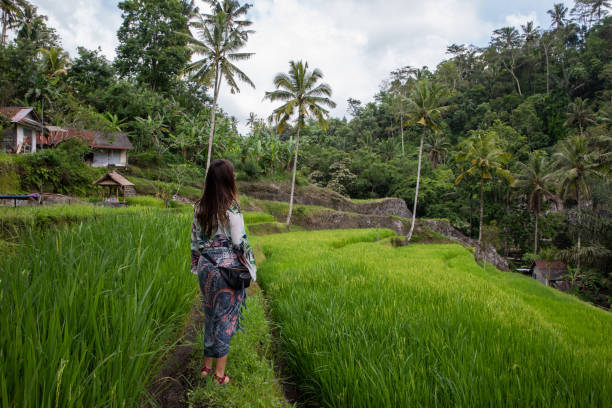 istock Beautiful woman on green rice fields in Bali with copy space 1156145654