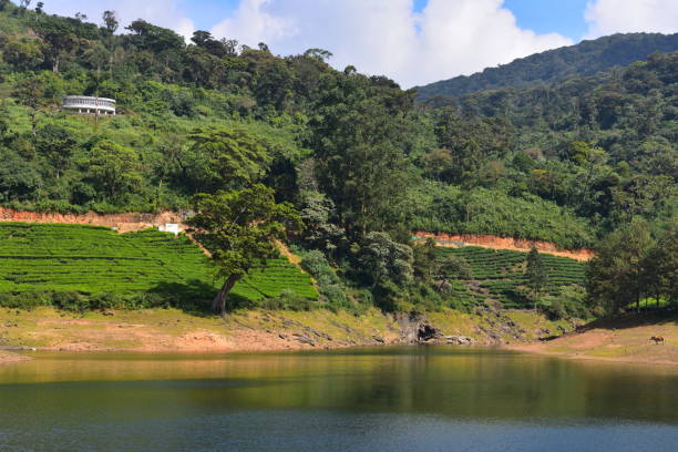 istock Meghamalai River and High Wavy Mountains 1156145811