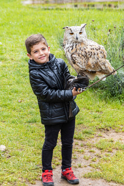 istock Little kid wit an owl in his hands 1156146001