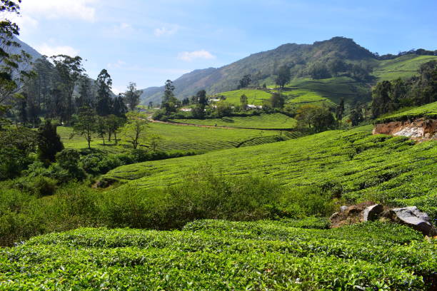 istock Meghamalai High Wavy Mountains - The Hidden Paradise 1156146937