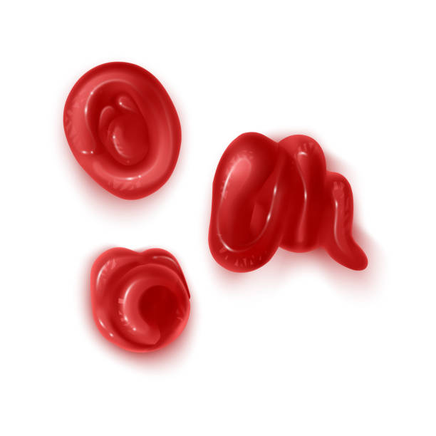 istock Realistic 3d ketchup set. Tomato sauce drops set isolated on white background. Spice of red color, top view, vector illustration for food packaging 1156149081