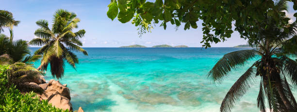 istock Palm and tropical sea beach panorama. Anse Source d'Argent, La Digue island. Seychelles 1156154391