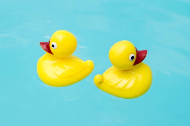 istock Two Toy Ducks Floating in a Pool 1156155824