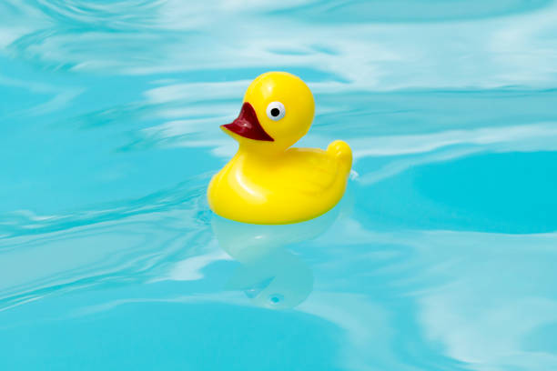 istock Toy Duck Floating in a Pool 1156155830