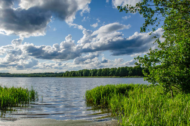 istock Summer day at a forest lake 1156161948