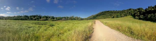 istock Natural green grass field with dirt road pathway during sunny day 1156163458