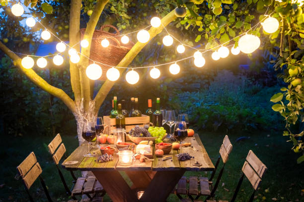 istock Supper with tasty appetizers and wine in summer evening 1156163795