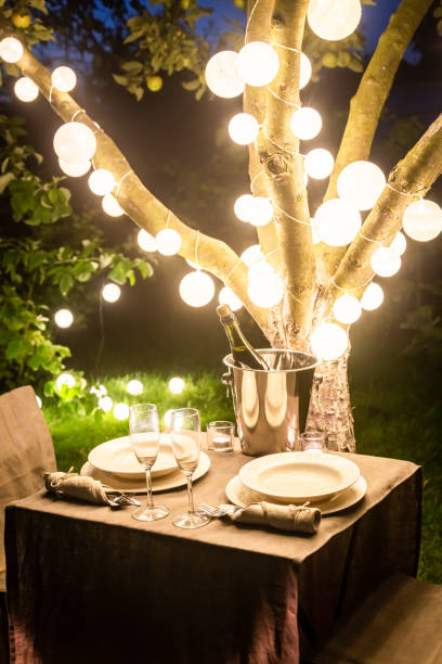 istock Illuminated table for two with champagne in evening garden 1156164510