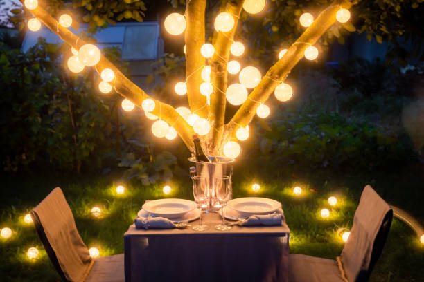 istock Romantic table for two with champagne in summer garden 1156164558