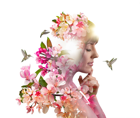 Multiple Exposure of young woman morphing into apple blossoms and hummingbirds during springtime.