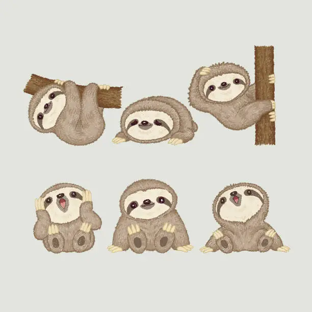 Vector illustration of Sloth of various poses