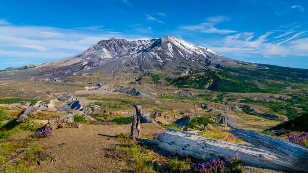 istock Mount Saint Helens As Seen From Loowit Viewpoint Focus Stacked 1156169981