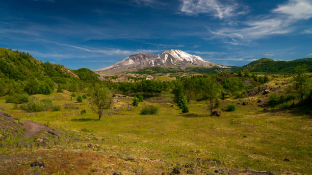 istock Mount Saint Helens As Seen From Hummocks Trail Wide Angle View 1156170019