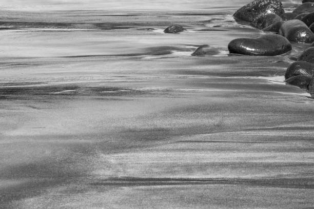 istock Volcanic Rocks on a Black Sand Beach 1156172070