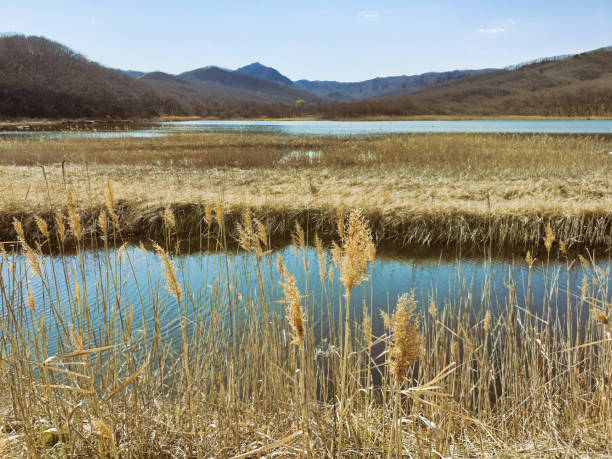 istock lake and grass in autumn 1156179701