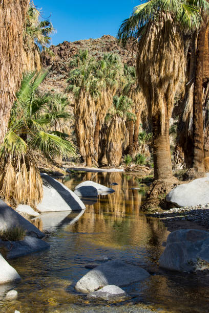 istock Indian Springs Canyon in California 1156187027