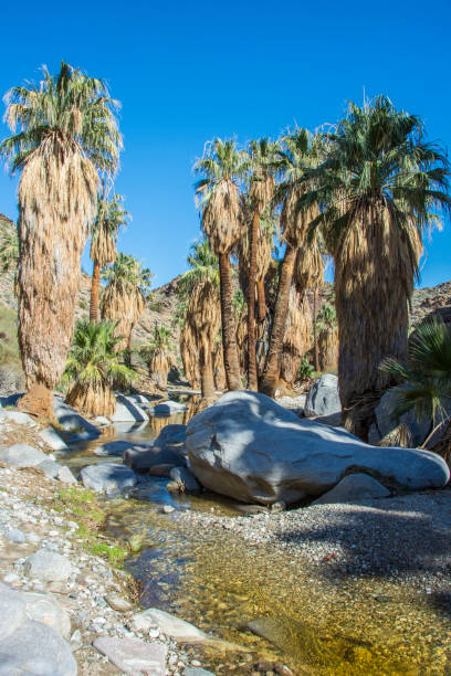 istock Indian Springs Canyon in California 1156187350