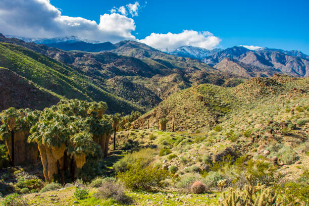 Indian Springs Canyon in California
