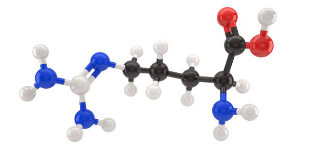 struktura cząsteczki argininy 3d ilustracja ze ścieżką przycinania - molecule amino acid arginine molecular structure zdjęcia i obrazy z banku zdjęć