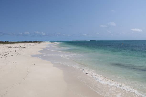 istock Jurien Bay Beach, Western Australia 1156205626