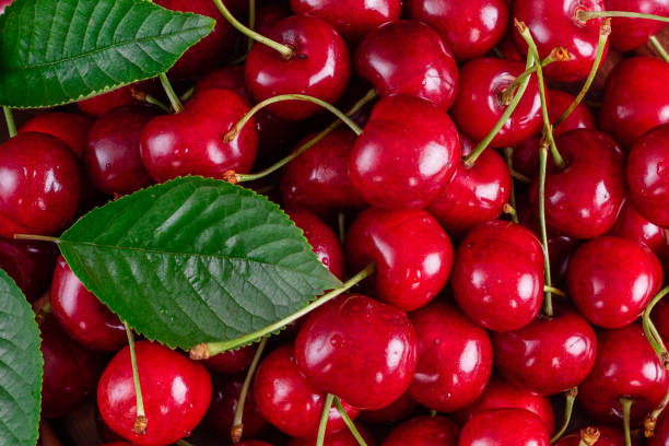 istock Sweet fresh organic cherry background close-up 1156207343