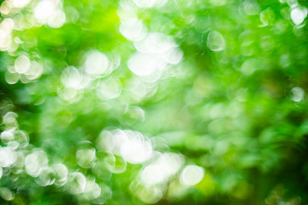 Bright Spot Green Defocused Background