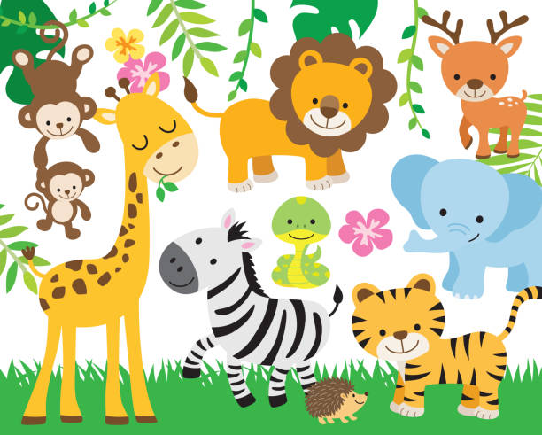 safari jungle zwierząt wektor ilustracja - zebra animal isolated young animal stock illustrations
