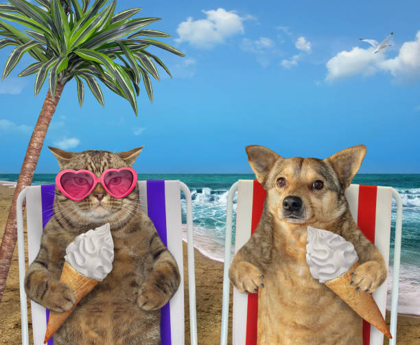 istock Dog and cat eating ice cream under a palm 1156214179