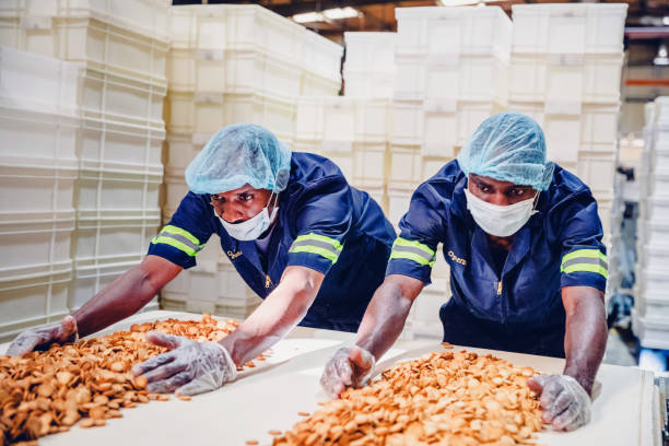 istock Production Line Worker Collecting the Freshly Baked Biscuits 1156215531