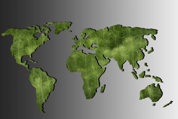 istock Roughly outlined world map with green plants filling 1156215718