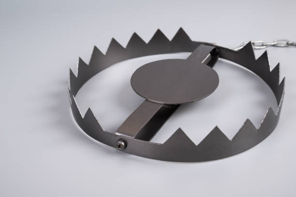 istock Metal bear trap. Business concept idea. Situations, risk setting. 1156217727