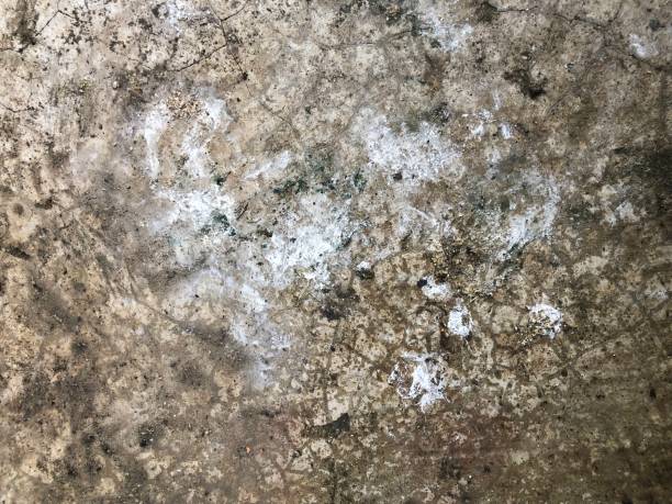 istock Dirty crack concrete floor with shout 1156218557