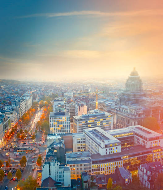 Aerial view of the City of Brussels with Palace of Justice by twilight