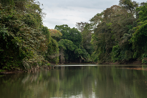 Rio Frio in northern Costa Rica