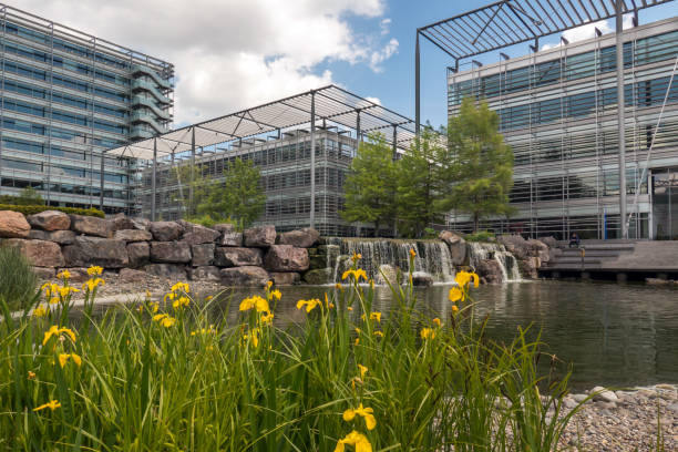 Modern office buildings in a business park, situated around a pond