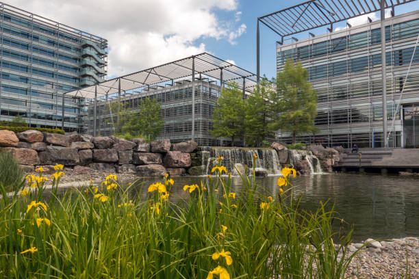 Modern office buildings in a business park, situated around a pond Modern offices in a business park, situated around a pond. Beautiful landscaping. Photo was taken in Chiswick, London chiswick stock pictures, royalty-free photos & images