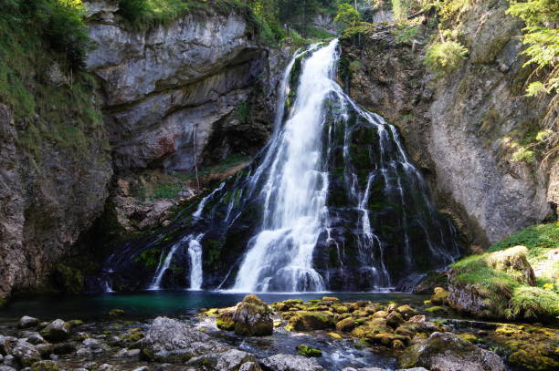 istock Imposing waterfall in the forest 1156231342
