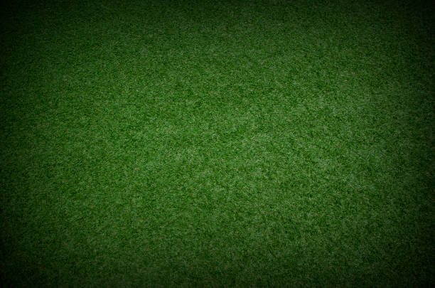 暗い影の境界線を持つ緑の草のテクスチャの背景 - soccer soccer field grass american football ストックフォトと画像