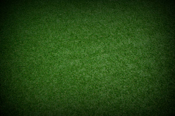 green grass texture background with dark shadow border green grass texture background with dark shadow border grass area photos stock pictures, royalty-free photos & images
