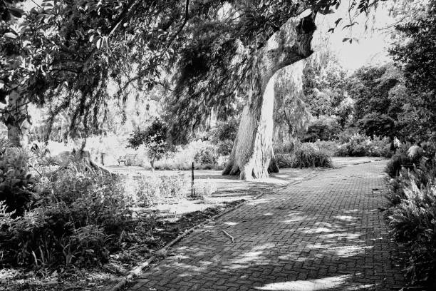 City parks in the Cape Town